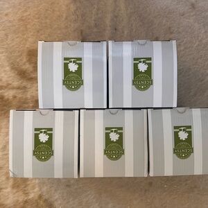 Scentsy Air Purifier Replacement Filters Set Of 5